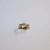 Alliance Solitaire i 14 kt guld