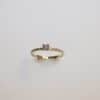 Alliance Solitaire i 14 kt guld