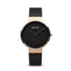 Bering 14531-166