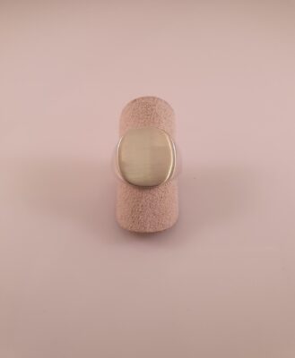 Signet ring i sølv- mat plade