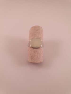 Signet ring i sølv - mat plade