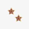 Hultquist Ruby stjerne S05048 G-P