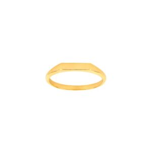 Noa 10830770300 guldsignetring smal 8kt.
