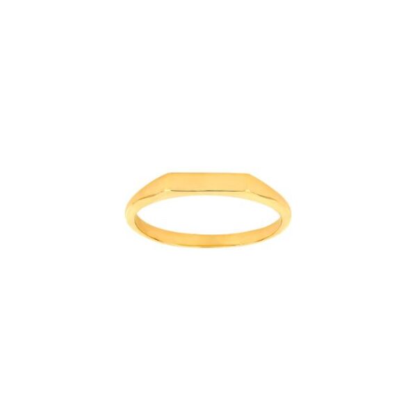 Noa 10830770300 guldsignetring smal 8kt.