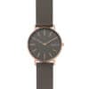 Skagen SKW2794