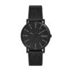 Skagen SKW6579