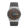 Skagen SKW6007