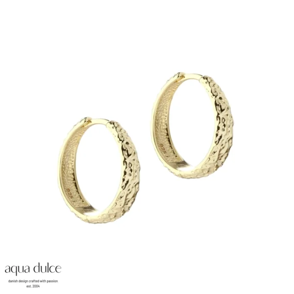 Aqua Dulce CAPPA 20mm sølvfogyldt creoler 6240