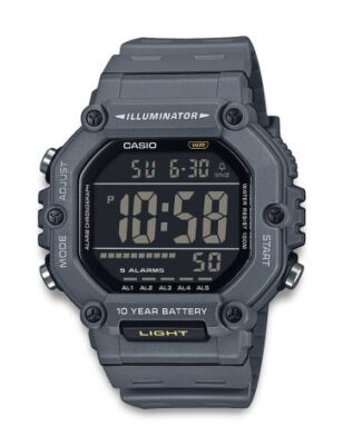 Casio Timeless AE-1600H-8BVEF