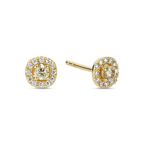 Nuran 14kt champagne ørestikker Ø3089 CH 032