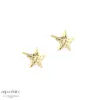 Aqua Dulce ASTRA STAR sølvforgyldt ørestik 5912