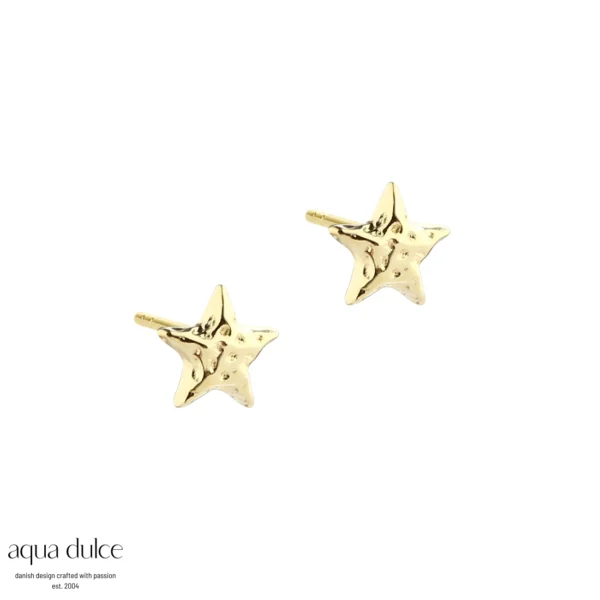 Aqua Dulce ASTRA STAR sølvforgyldt ørestik 5912