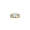 SKN 14 karat guld ring med 3,01ct diamant