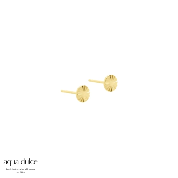 Aqua Dulce Line Coin ørestikker i forgyldt sterling sølv 6 mm 4119