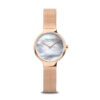 Bering Max René 15527-364