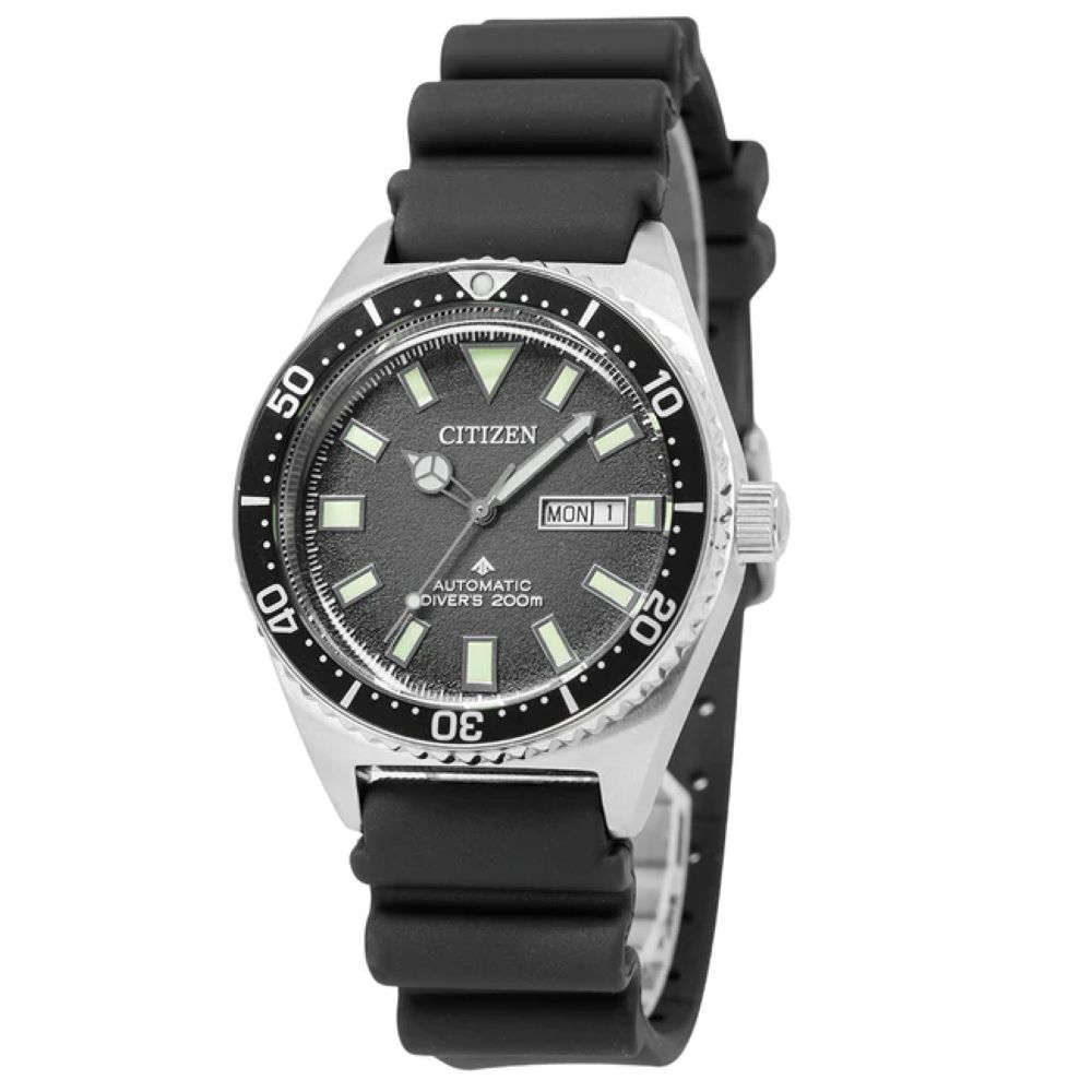 Citizen Promaster NY0120-01E