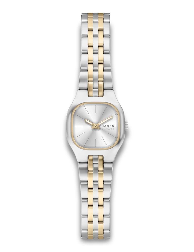 Skagen Mellem Micro Bicolor SKW3176